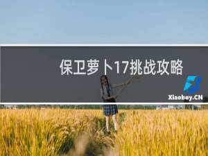 保卫萝卜17挑战攻略
