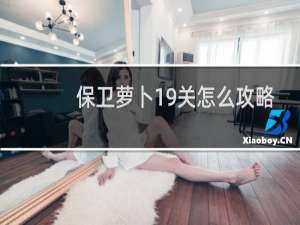 保卫萝卜19关怎么攻略