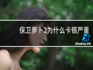 保卫萝卜2为什么卡顿严重