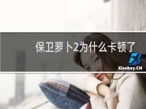 保卫萝卜2为什么卡顿了
