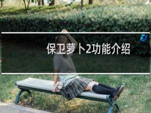 保卫萝卜2功能介绍