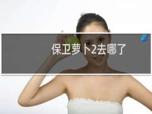 保卫萝卜2去哪了