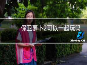 保卫萝卜2可以一起玩吗