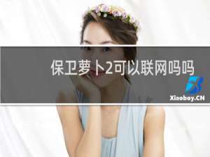 保卫萝卜2可以联网吗吗