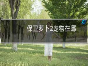 保卫萝卜2宠物在哪