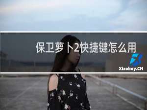 保卫萝卜2快捷键怎么用