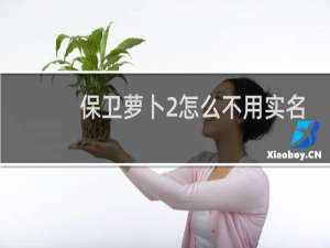 保卫萝卜2怎么不用实名