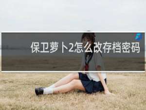 保卫萝卜2怎么改存档密码