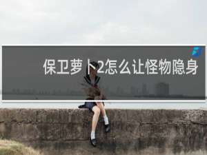 保卫萝卜2怎么让怪物隐身