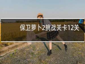 保卫萝卜2挑战关卡12关