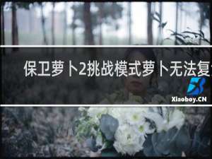 保卫萝卜2挑战模式萝卜无法复活