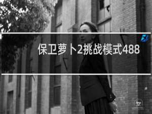 保卫萝卜2挑战模式488