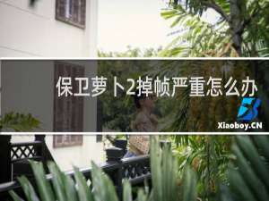 保卫萝卜2掉帧严重怎么办