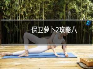 保卫萝卜2攻略八