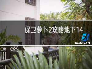 保卫萝卜2攻略地下14