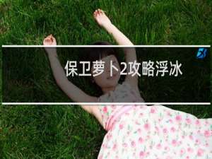 保卫萝卜2攻略浮冰