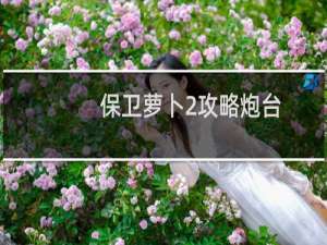 保卫萝卜2攻略炮台