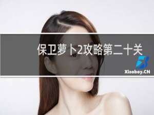 保卫萝卜2攻略第二十关
