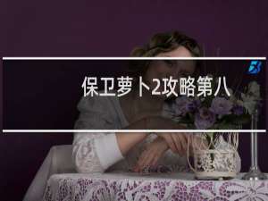 保卫萝卜2攻略第八