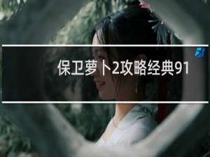 保卫萝卜2攻略经典91