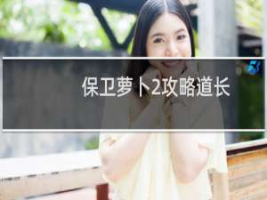 保卫萝卜2攻略道长