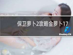 保卫萝卜2攻略金萝卜17