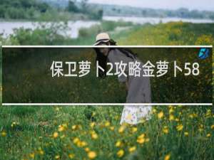 保卫萝卜2攻略金萝卜58