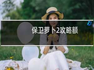 保卫萝卜2攻略额