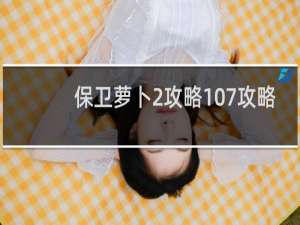 保卫萝卜2攻略107攻略