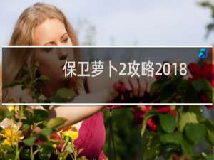 保卫萝卜2攻略2018