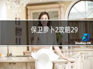 保卫萝卜2攻略29