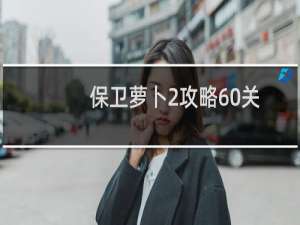 保卫萝卜2攻略60关