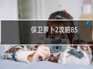 保卫萝卜2攻略85