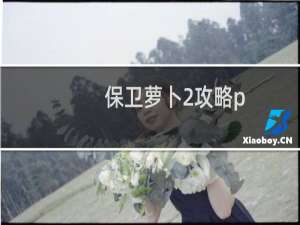 保卫萝卜2攻略p