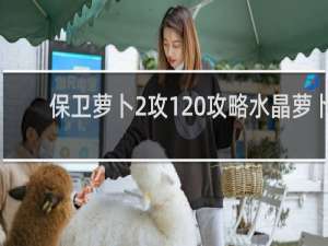 保卫萝卜2攻120攻略水晶萝卜