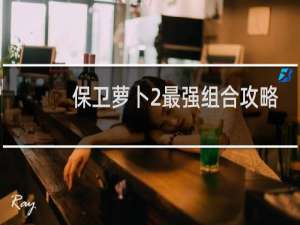保卫萝卜2最强组合攻略