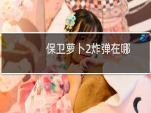 保卫萝卜2炸弹在哪