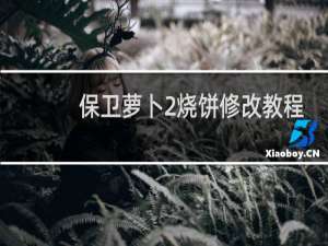 保卫萝卜2烧饼修改教程