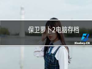 保卫萝卜2电脑存档