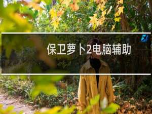 保卫萝卜2电脑辅助