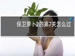 保卫萝卜2的第7关怎么过