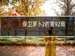 保卫萝卜2的第92局