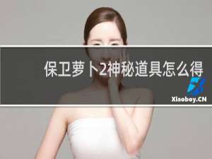 保卫萝卜2神秘道具怎么得