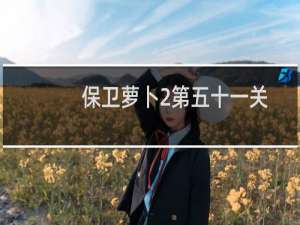 保卫萝卜2第五十一关