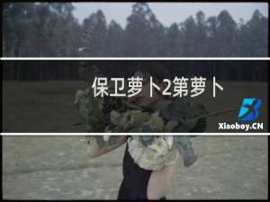 保卫萝卜2第萝卜