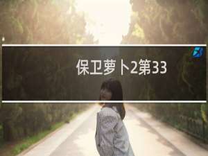 保卫萝卜2第33