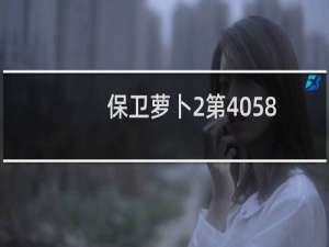 保卫萝卜2第4058