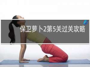 保卫萝卜2第5关过关攻略