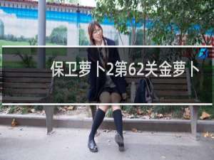 保卫萝卜2第62关金萝卜