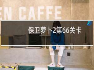 保卫萝卜2第66关卡